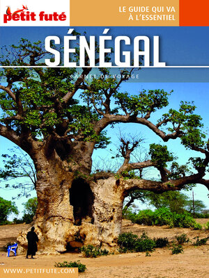cover image of SÉNÉGAL 2023 Carnet Petit Futé